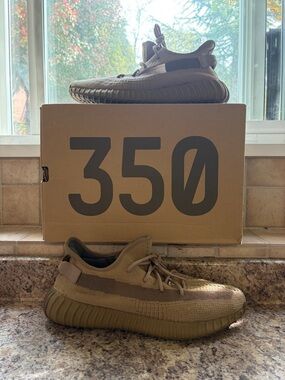 Yeezy 350 Earth